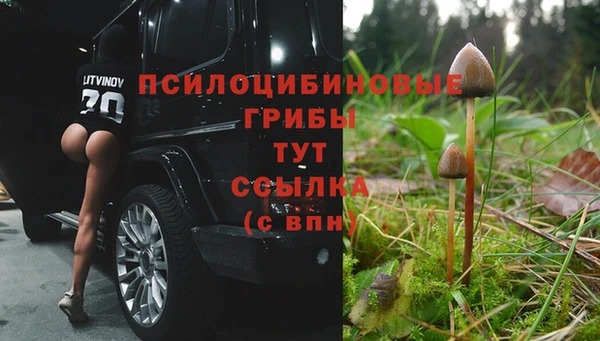 ешки Балахна