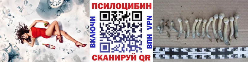 Галлюциногенные грибы Psilocybine cubensis blacksprut вход Бикин